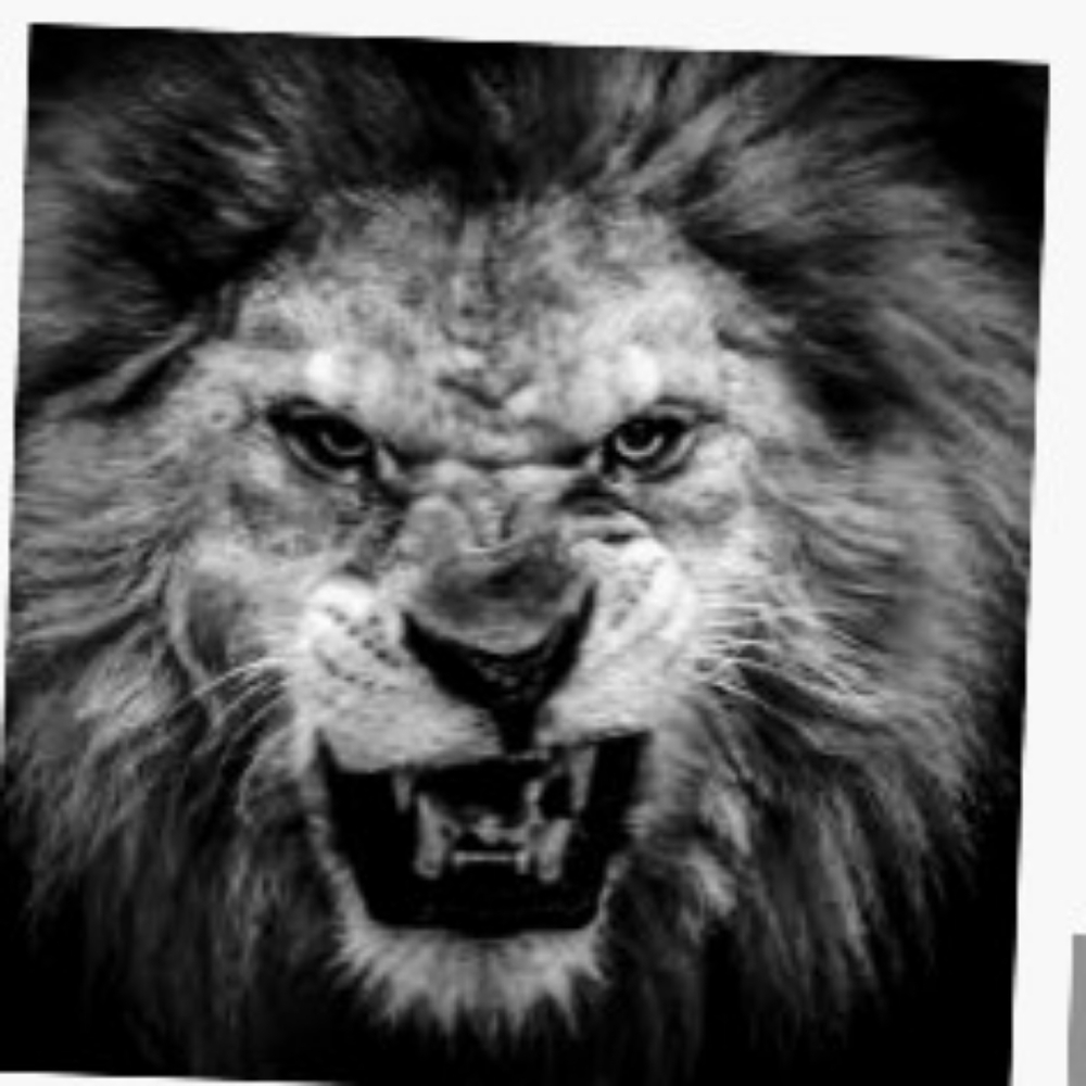 Meet your Posher, alpha king